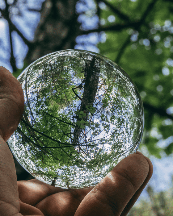 écologie citerne récupération d'eau professionnelle