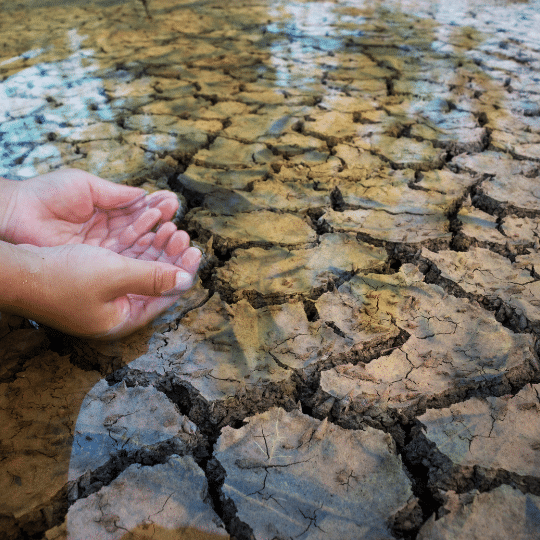 secheresse économie d'eau